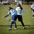 IMG 0118